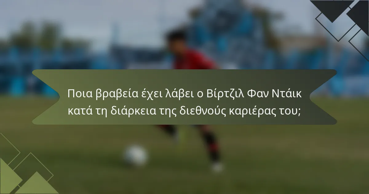 Ποια βραβεία έχει λάβει ο Βίρτζιλ Φαν Ντάικ κατά τη διάρκεια της διεθνούς καριέρας του;