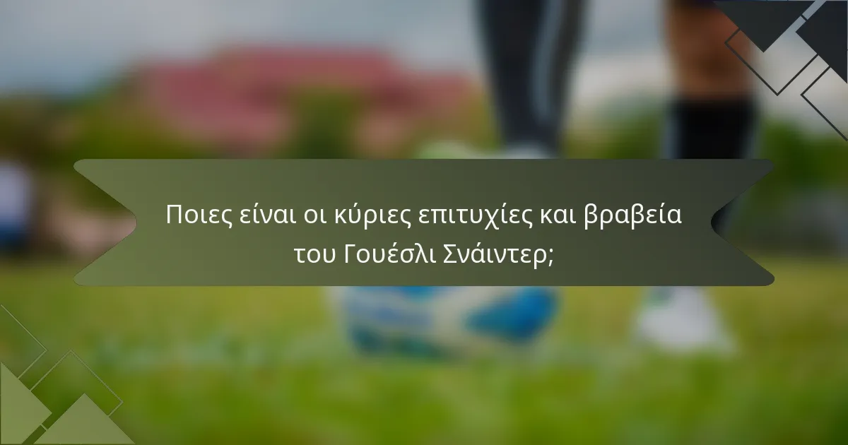 Ποιες είναι οι κύριες επιτυχίες και βραβεία του Γουέσλι Σνάιντερ;