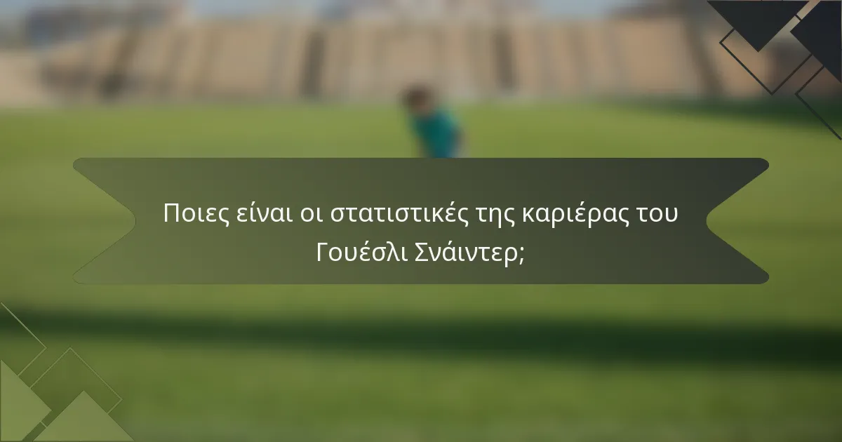 Ποιες είναι οι στατιστικές της καριέρας του Γουέσλι Σνάιντερ;